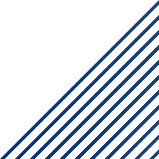 Fondo sección